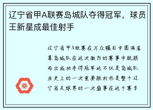 辽宁省甲A联赛岛城队夺得冠军，球员王新星成最佳射手